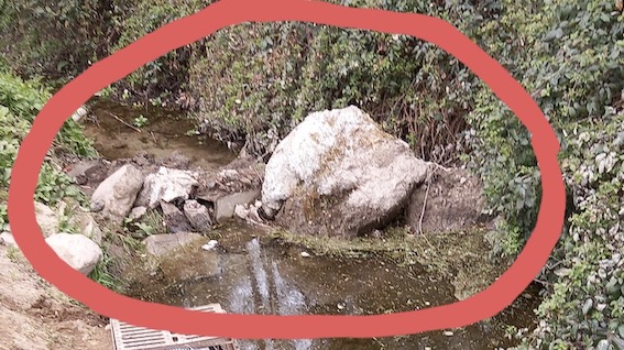 Orti urbani non autorizzati e masso ostruisce il rio Veverino