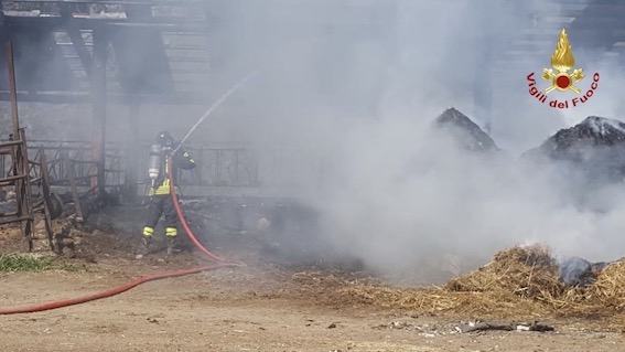 Invorio: incendio in un'azienda agricola della frazione Orio. Foto