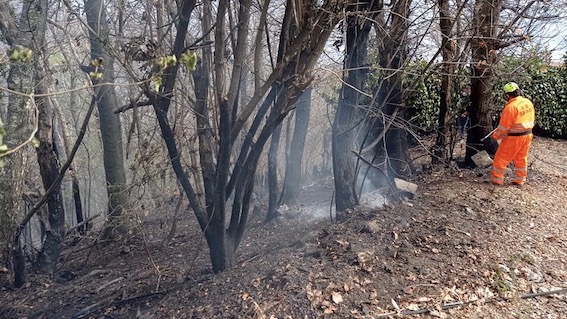 Massino Visconti: incendio boschivo in località San Salvatore