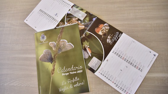 E' dedicato alle farfalle il calendario 2022 del Comune di Borgo Ticino