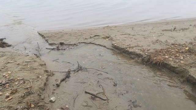 Arona, sversamenti a lago: criticità risolta in sinergia fra Legambiente e Acqua Novara Vco