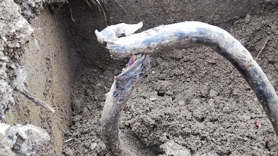 Nebbiuno, telefoni muti: la colpa non è della compagnia telefonica