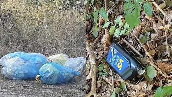 Stresa, arriva l'albo dei volontari: approvato il regolamento