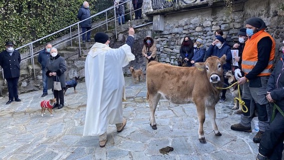 Stresa, per Sant'Antonio Abate benedizione degli animali e del pane