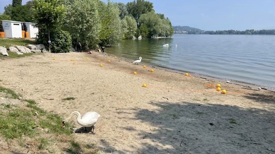 Arona, apre la nuova spiaggia