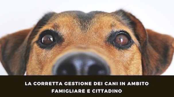 Arona: "Can che abbaia non morde", evento online con l'associazione A.R.T