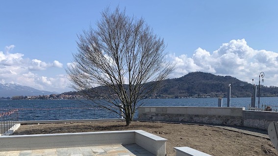 Meina, messa a dimora la prima pianta sul nuovo lungolago