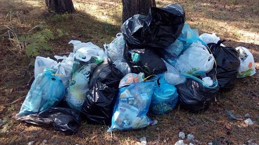 Borgo Ticino: raccolti tanti rifiuti abbandonati