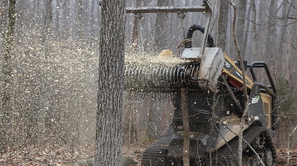  Novarese, effettuati interventi di trinciatura della vegetazione sotto agli elettrodotti in alcuni comuni
