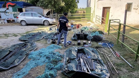 Operazione dei Carabinieri Forestali in varie province contro il bracconaggio ittico