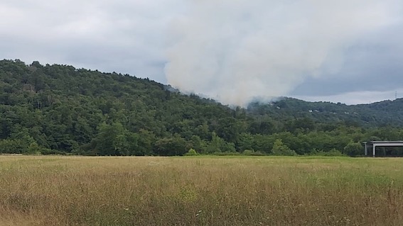 Oleggio Castello, incendio boschivo in collina