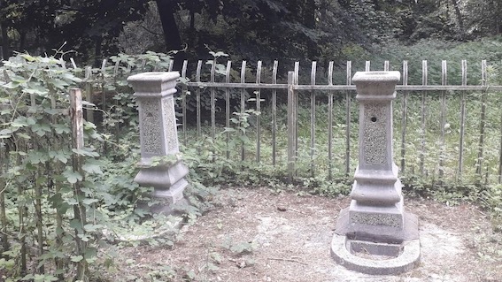 Oleggio Castello: ambientalista suggerisce riattivazione pozzi fonte Gioiosa
