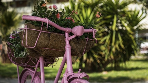 Arona, domenica appuntamento con "Biciclette in fiore"