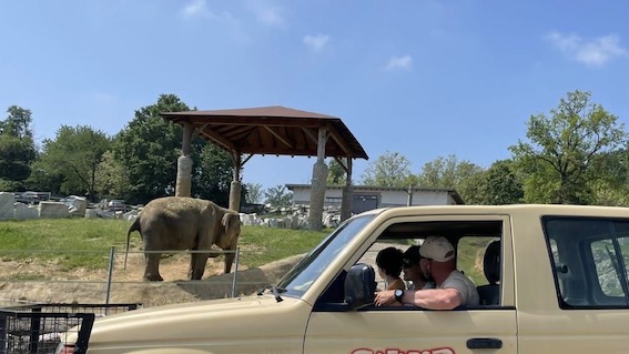  "Make a Wish" ha realizzato desiderio di una bambina al Safari Park di Pombia