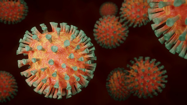 Borgo Ticino: le vittime del Coronavirus saranno ricordate con una targa