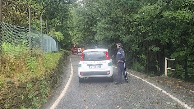 Lesa, viabilità ripristinata dopo la caduta di rami e piante