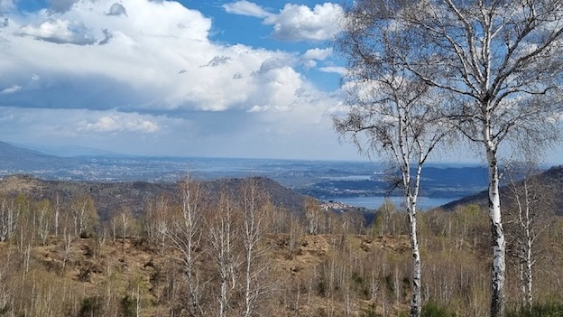 Vergante, colline interessate da un incendio a Pasqua