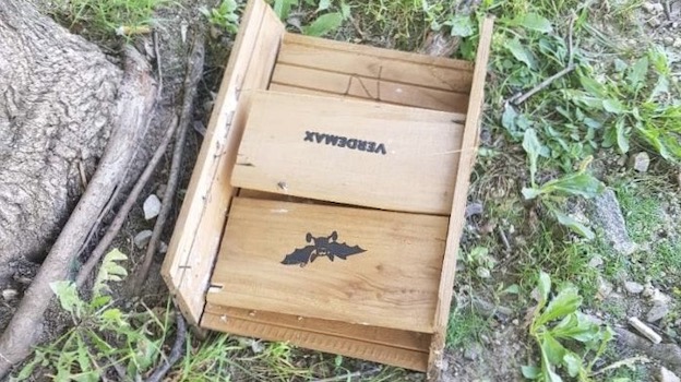 Arona, ignoti danneggiano le casette dei pipistrelli anti-zanzare