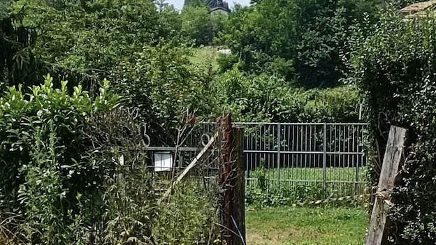 Attivisti fanno sequestrare rifugio abusivo a Borgo Ticino
