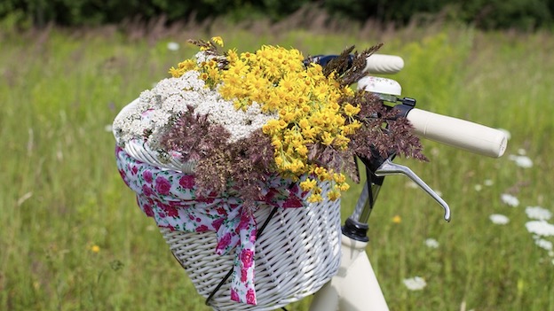 Arona, torna l'appuntamento con "Biciclette in fiore"