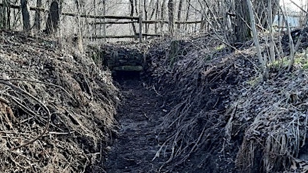 Parco dei Lagoni di Mercurago, svolta manutenzione al canale scolmatore