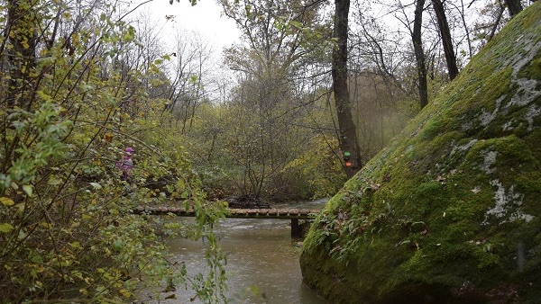 Mezzomerico Forest Race 2024: per la gara del 17 novembre sold out, 900 gli iscritti