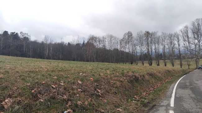Oleggio Castello, progetto agrivoltaico: il punto della situazione