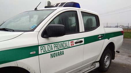 Grignasco, lacci vietati per la cattura dei cinghiali sequestrati dalla Polizia Provinciale