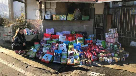 Da Armeno una raccolta per gli amici a quattrozampe in difficoltà