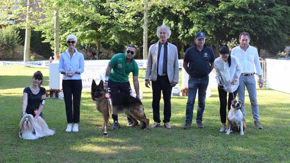 Borgomanero, i vincitori del Trofeo regionale di esposizione canina