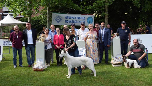 Domenica al parco Marazza il Trofeo Regionale di esposizione canina