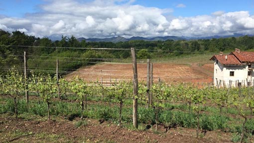 "Giornate del Patrimonio": visita alla cascina Buonumore