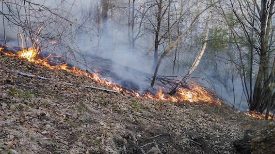 Armeno, incendio all'Alpe Farfossa. Fotogallery