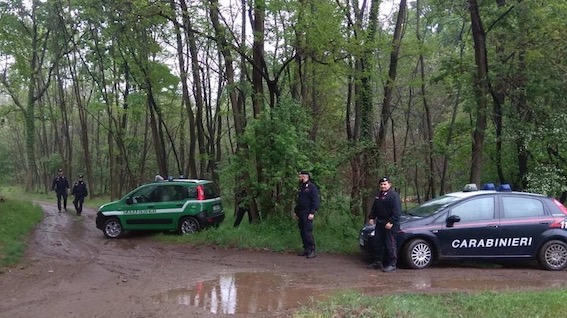 Ghemme, un arresto per spaccio nei boschi