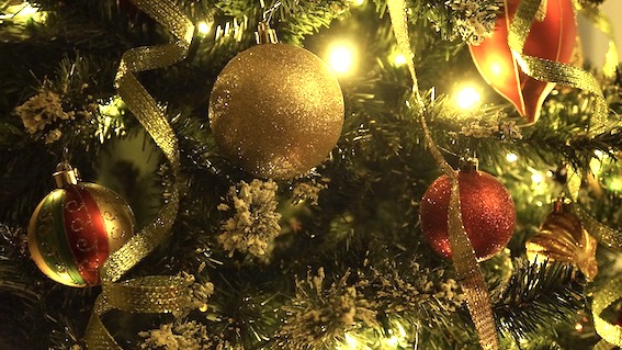  Gozzano, arriva il concorso "Alberi di Natale in rete"