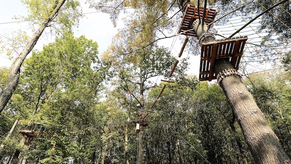 Ameno, riapre l'Adventure Park Le Pigne