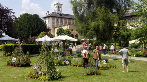 Miasino, tutto pronto a Villa Nigra per "Menta e Rosmarino"
