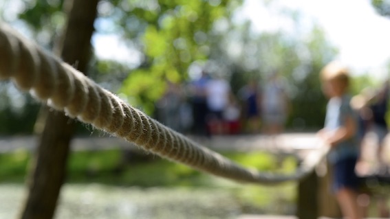 Associazione DragoLago: si presentano i campi estivi