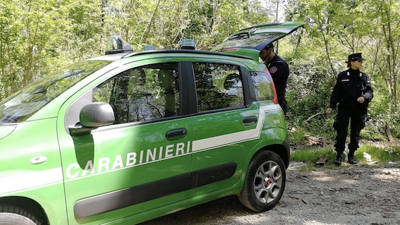 Fontaneto d'Agogna: una denuncia per incendio boschivo