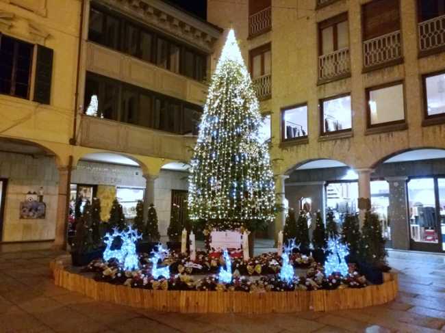 Borgomanero, in piazza in arrivo un albero di Natale alto otto metri