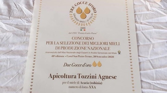 Maggiora, riconoscimento nazionale per il miele di un'apicoltura locale