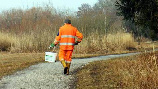 Pogno, domenica la giornata ecologica