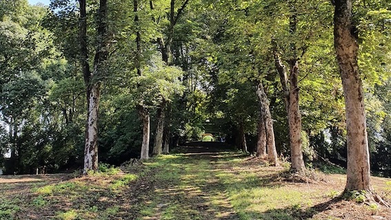 Conturbia, aperto ufficialmente il parco del Castello