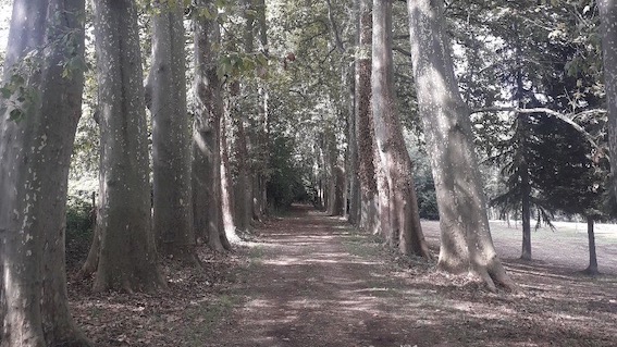 Parco del Castello di Conturbia aperto tutto agosto