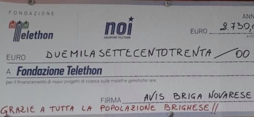 Briga Novarese, raccolta una cifra significativa per Telethon
