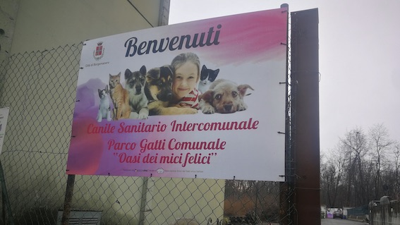 Borgomanero, il funzionamento del canile sanitario di via Resega per gli animali vaganti