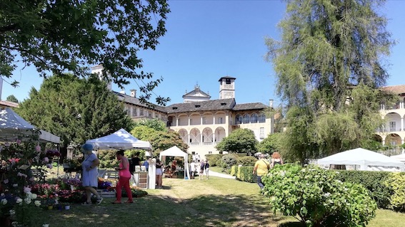 Miasino, successo per l'edizione 2021 di "Menta e Rosmarino". Foto