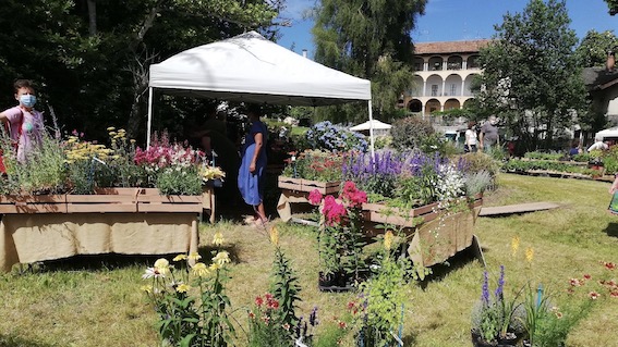 Miasino, nel parco di Villa Nigra torna l'appuntamento con "Menta e Rosmarino"