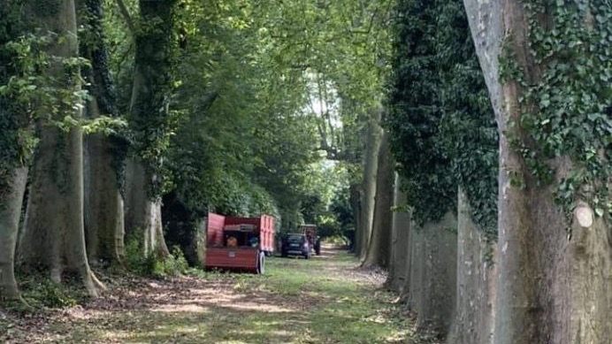 Ad agosto aperto al pubblico il parco del castello di Conturbia