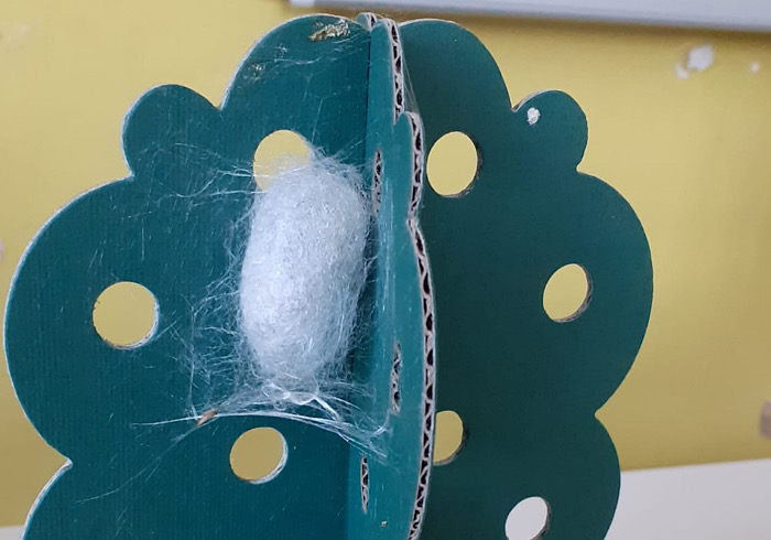 A Orta San Giulio i bambini imparano anche coi bachi da seta